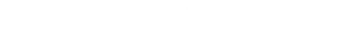 MSM logo