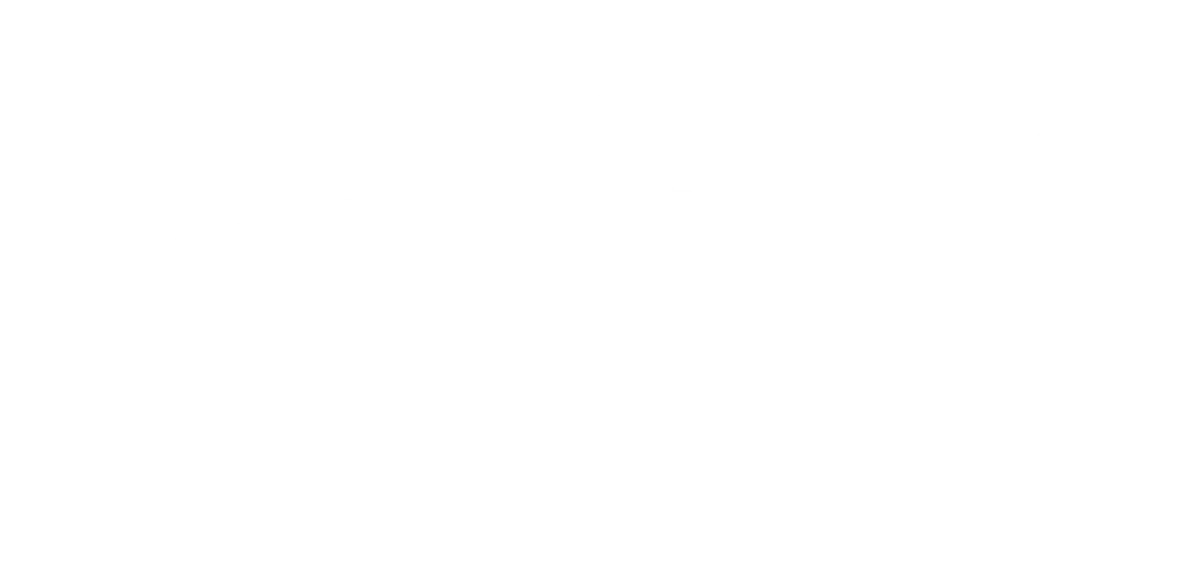 Lokr Sports logo