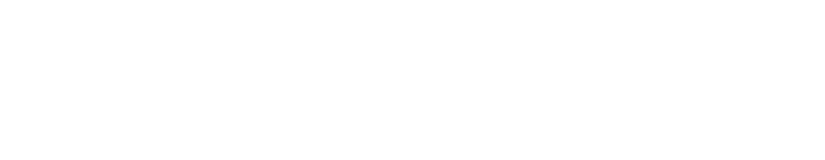 Endura logo